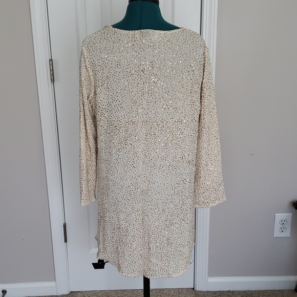 Caroline Rose Gold Glitter Tunic Top - Picture 3 of 5